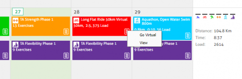 Go Virtual Session Option