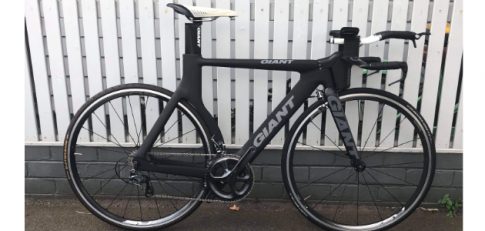 giant-trinity-for-sale