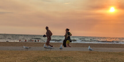 elwood-twilight-combo